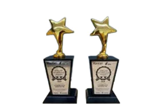 Stellar Workplace Award 2024